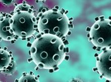 Corona virus